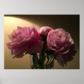 Peony, Poster (Vorne)