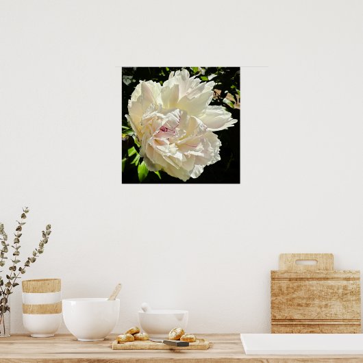 Peony, Poster (Küche)