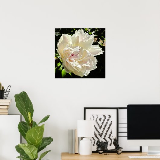 Peony, Poster (Heimbüro)
