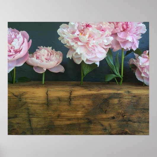 Peony Poster (Vorne)