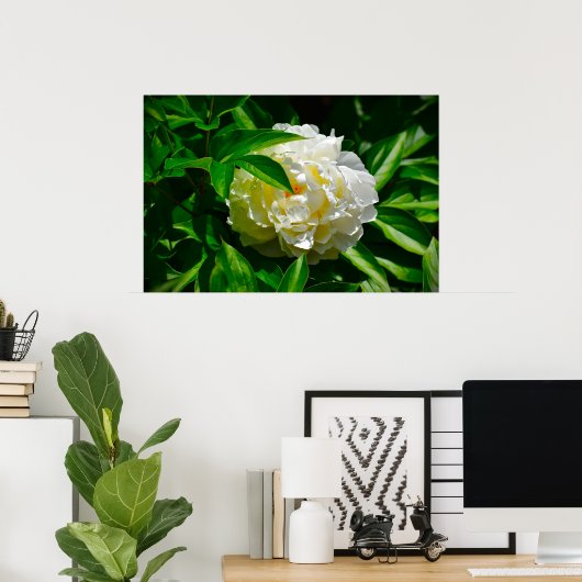 Peony, Poster (Heimbüro)