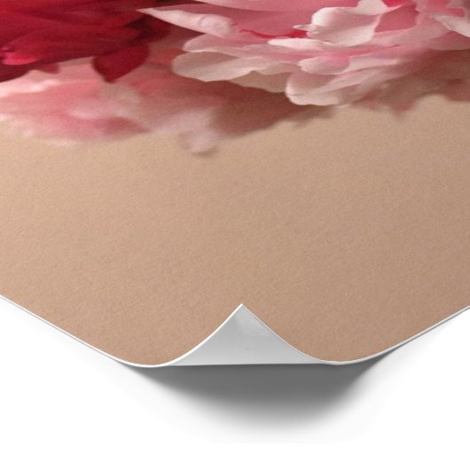 Peony, Poster (Ecke)