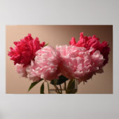 Peony, Poster (Vorne)
