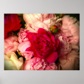 Peony, Poster (Vorne)