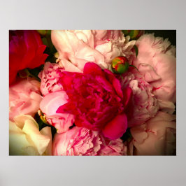 Peony, Poster