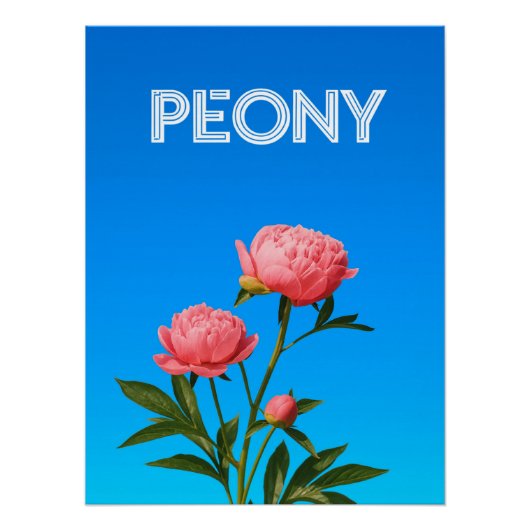 Peony Poster (Vorderseite)