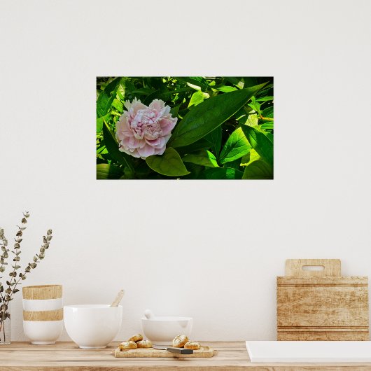 Peony, Poster (Küche)