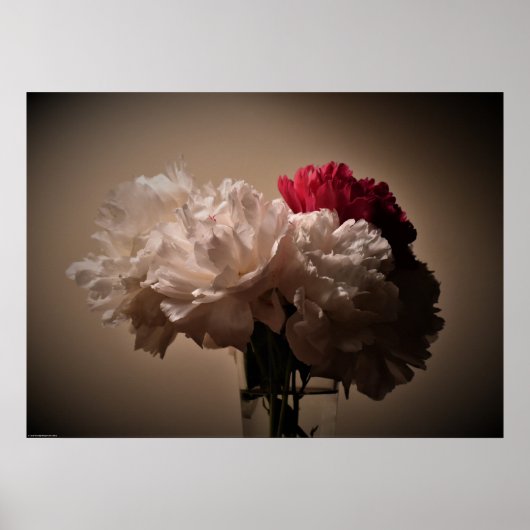 Peony, Poster (Vorne)