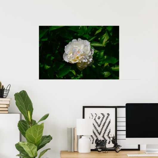 Peony, Poster (Heimbüro)