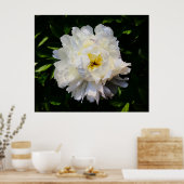 Peony, Poster (Küche)