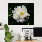 Peony, Poster (Heimbüro)