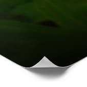 Peony, Poster (Ecke)