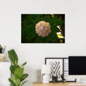 Peony, Poster (Heimbüro)