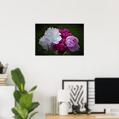 Peony, Poster (Heimbüro)