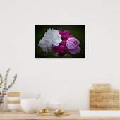 Peony, Poster (Küche)