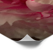 Peony, Poster (Ecke)