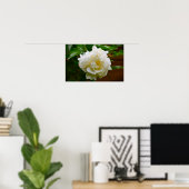 Peony, Poster (Heimbüro)