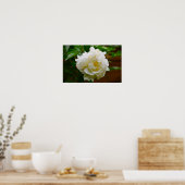 Peony, Poster (Küche)