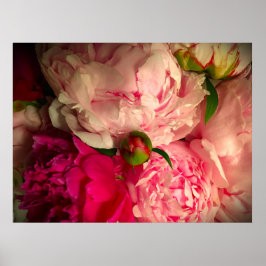 Peony, Poster