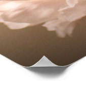 Peony, Poster (Ecke)
