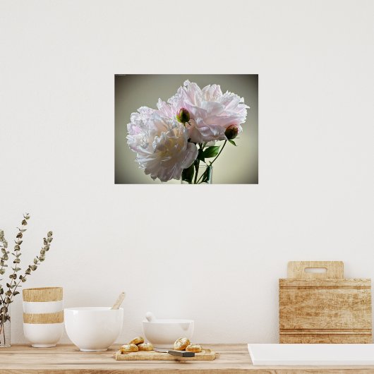 Peony, Poster (Küche)