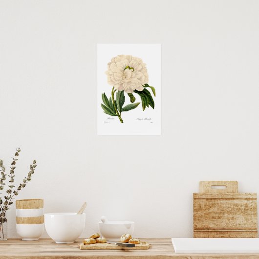 Peony Poster (Küche)