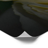 Peony, Poster (Ecke)