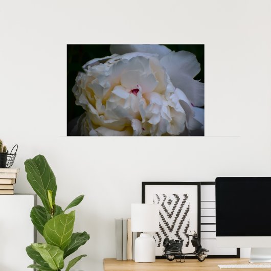 Peony, Poster (Heimbüro)