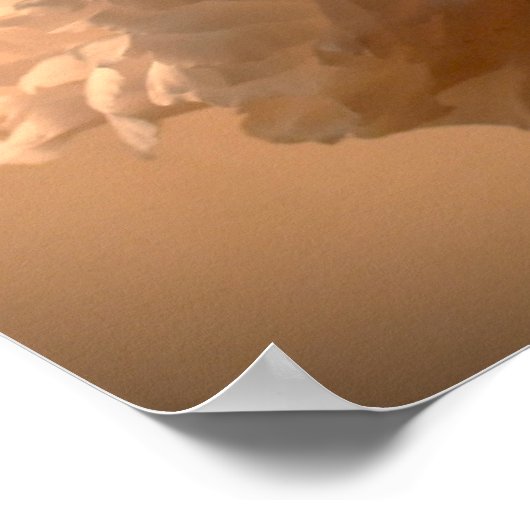 Peony, Poster (Ecke)