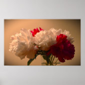 Peony, Poster (Vorne)