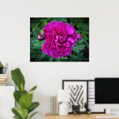 Peony, Poster (Heimbüro)