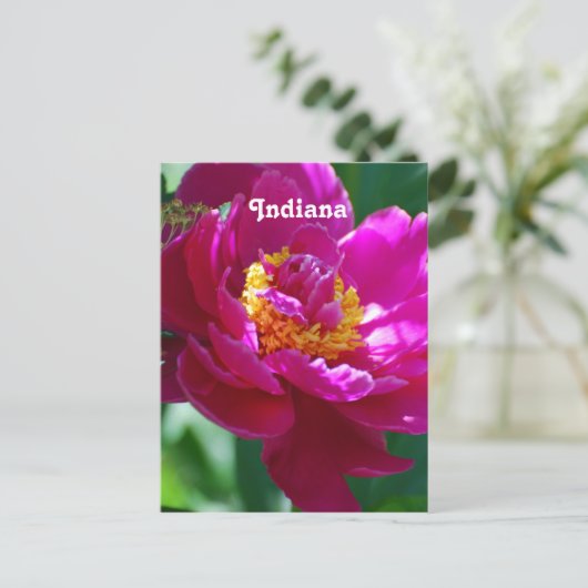 Peony Postkarte (Stehend Vorderseite)