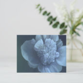 Peony Postkarte (Stehend Vorderseite)