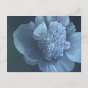Peony Postkarte