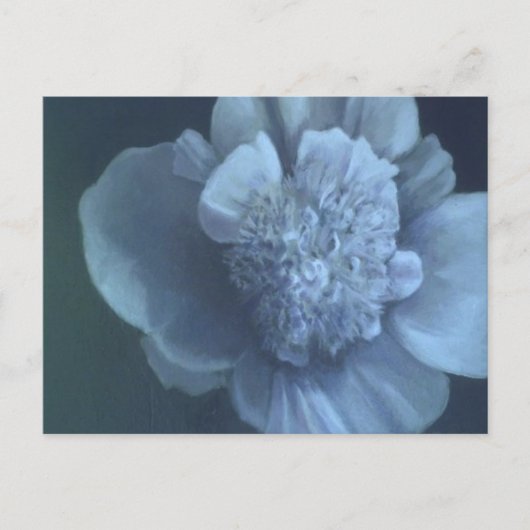 Peony Postkarte (Vorderseite)