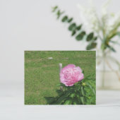 Peony Postkarte (Stehend Vorderseite)