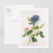 Peony Postkarte (Vorne/Hinten)