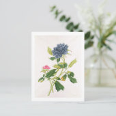 Peony Postkarte (Stehend Vorderseite)