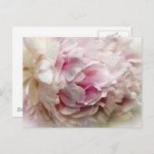 Peony Postkarte (Vorne/Hinten)