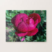 Peony Puzzle (Horizontal)