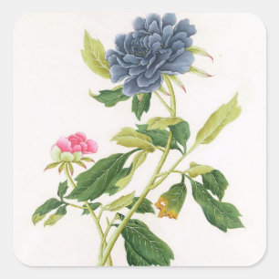 Peony Quadratischer Aufkleber