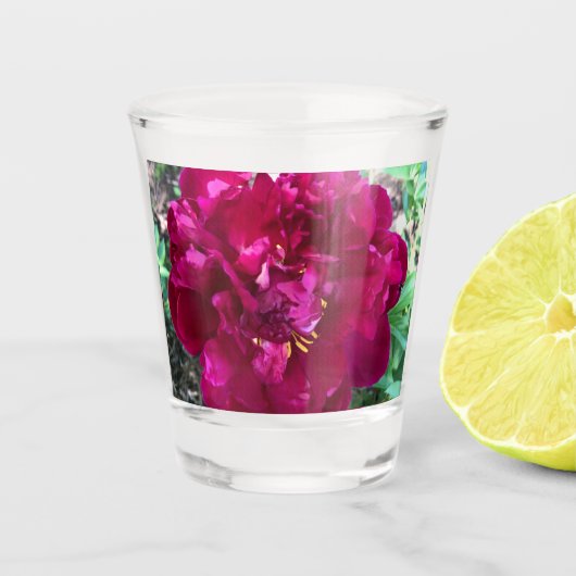 Peony Shot Glass Schnapsglas (Vorderseite)