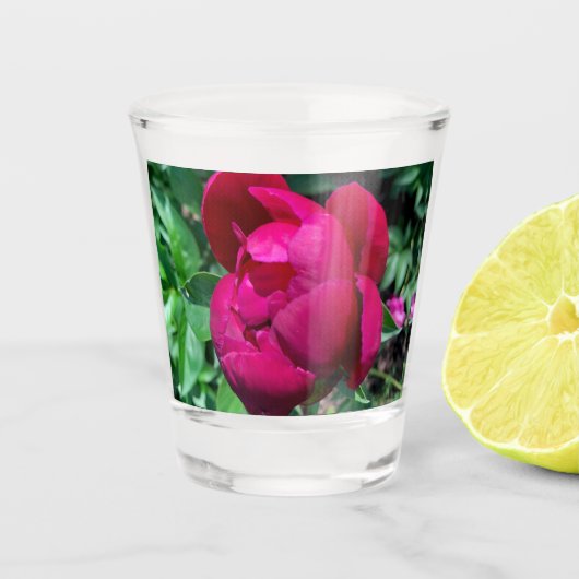 Peony Shot Glass Schnapsglas (Vorderseite)