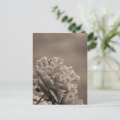 Peony Single Sepia Postkarte (Stehend Vorderseite)
