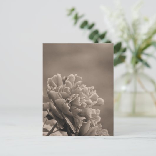 Peony Single Sepia Postkarte (Stehend Vorderseite)