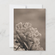 Peony Single Sepia