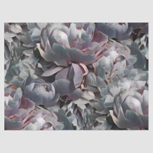 Peony-Studio Seidenpapier (Vorderseite)