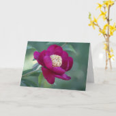 Peony "Sword Dance" Karte (Gelbe Blume)