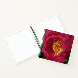 Peony ~ The Blume Collection Sketchbook Notizblock