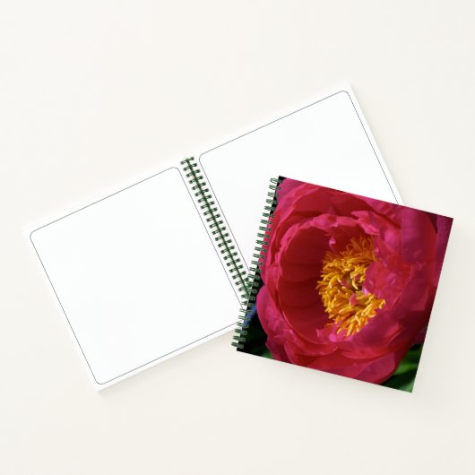 Peony ~ The Blume Collection Sketchbook Notizblock (Innenseite)